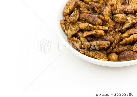 カイコの蛹（昆虫食）: Silkworm pupae 25565586