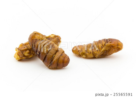 カイコのサナギ（昆虫食）: Silkworm pupae 25565591
