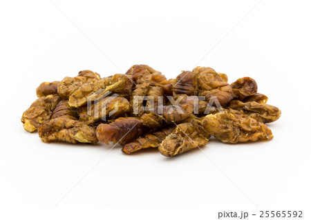 蚕の蛹（昆虫食）: Silkworm pupae 25565592