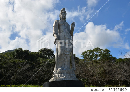 観音像 25565699
