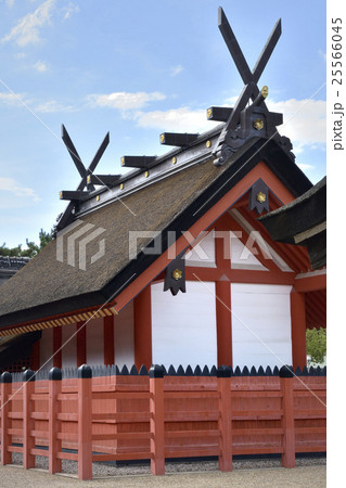 住吉大社　国宝　本殿 25566045