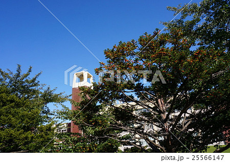 八紘学園校舎の鐘楼(北海道農業専門学校) 八紘学園校舎の鐘楼(北海道農業専門学校) 25566147
