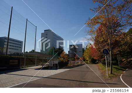 白石サイクリングロード沿いの風景 陽だまりロード北星学園大学付近 の写真素材