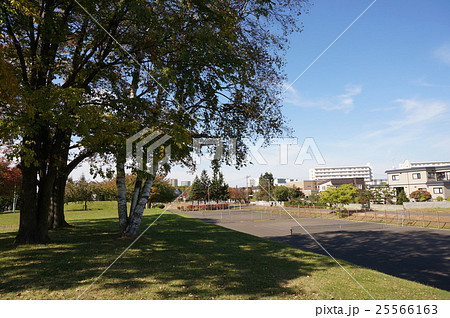 白石サイクリングロード沿いの風景(陽だまりロード厚別南公園) 白石サイクリングロード沿いの風景(陽だまりロード厚別南公園) 25566163
