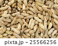 Boiled peanuts texture close up background 25566256