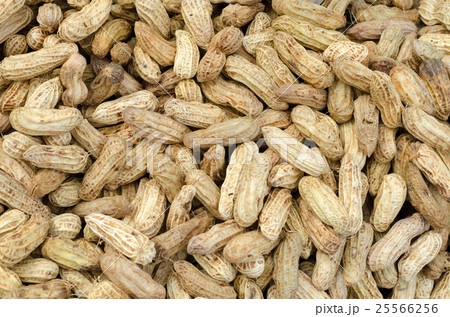 Boiled peanuts texture close up background Boiled peanuts texture close up background 25566256