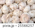 close up of garlic on market stand 25566257