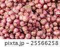 Close up shallots. 25566258
