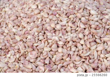 Garlic group background Garlic group background 25566260