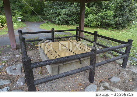 旧小石川養生所の井戸 25566818