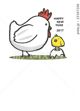 酉年　年賀素材 25567206