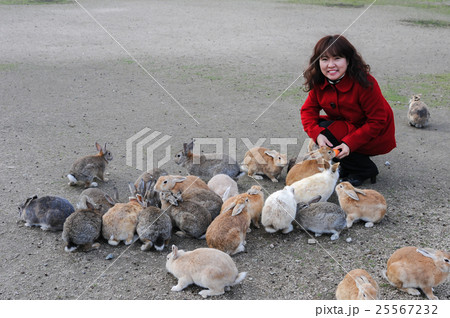 うさぎちゃん 25567232