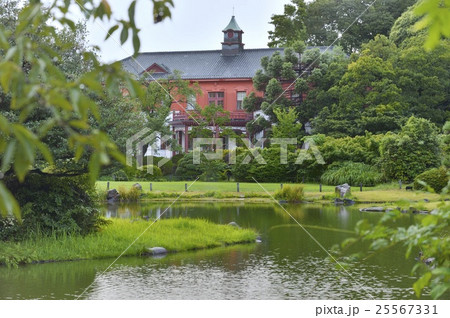 総合研究博物館　旧東京医学校本館　日本庭園 25567331