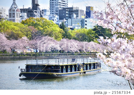 大阪　大川　桜　遊覧船　八軒家浜 25567334
