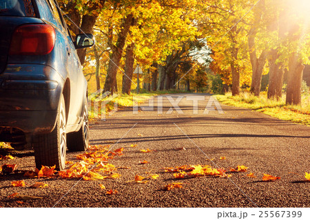 Car on asphalt road in autumn 25567399
