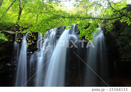 乙女の滝 25568133