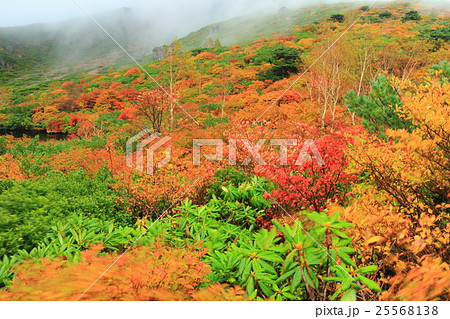霧のひょうたん池紅葉（那須岳） 25568138