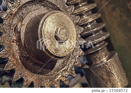 Gear wheel, cogs and screw of old industry machine 25569572