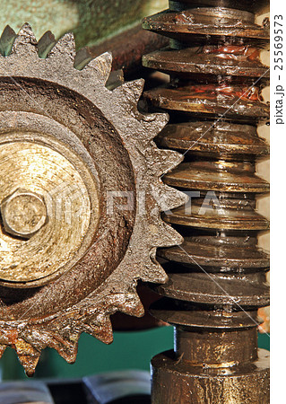 Gear wheel, cogs and screw of old machine. 25569573