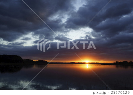 自然豊富な伊豆沼で夜明けと共に飛び立つマガンの美しい雁行と朝日の光芒が水面に反射ドラマチック絶景 25570129