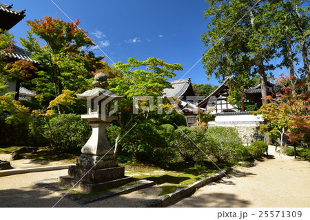 井山宝福寺(紅葉) 井山宝福寺(紅葉) 25571309