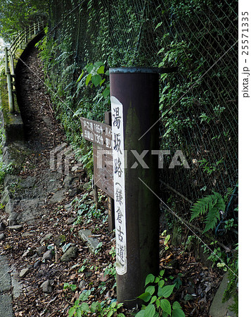 箱根湯本 鎌倉古道 箱根湯本 鎌倉古道 25571335