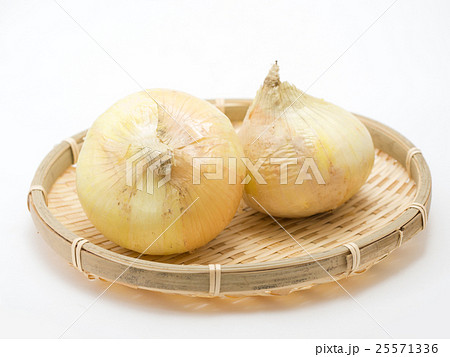 新玉ネギ 25571336