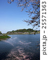 桜の公園 25571363