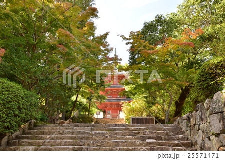 井山宝福寺（三重塔と紅葉） 25571471
