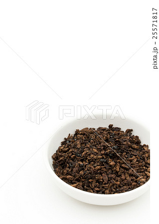 黒アリとアリの卵（昆虫食）: Black Ants and Eggs 25571817