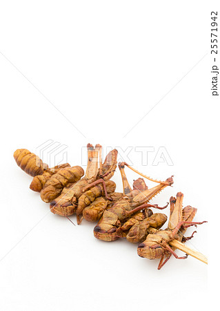 バッタと蚕の蛹の串刺し 昆虫食 Grasshoppers And Silkworm Pupaeの写真素材