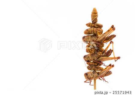 バッタとカイコの蛹の串刺し 昆虫食 Grasshoppers And Silkworm Pupaeの写真素材 バッタとカイコの蛹の串刺し 昆虫食 Grasshoppers And Silkworm Pupaeの写真素材