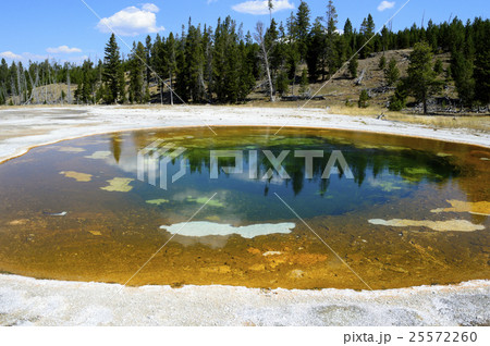 93098　イエローストーン国立公園 25572260