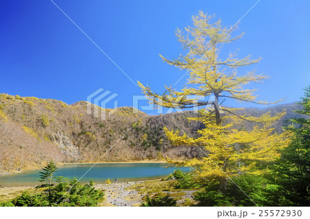 秋の五色沼 25572930