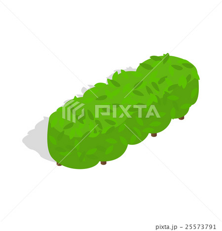 Lot of trees icon, isometric 3d style 25573791