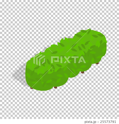 Lot of trees icon, isometric 3d style Lot of trees icon, isometric 3d style 25573791