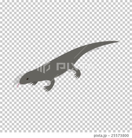 Lizard icon in isometric 3d style Lizard icon in isometric 3d style 25573800