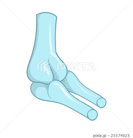 Bones icon, cartoon style 25574023