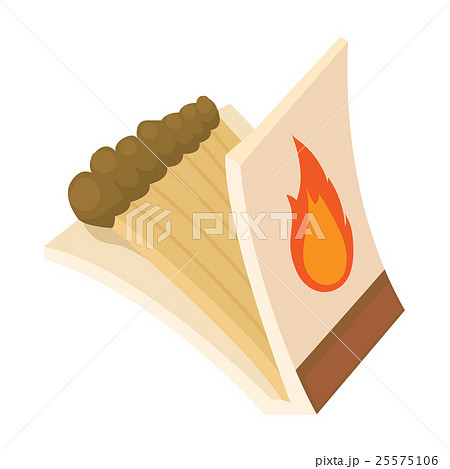 Box of matches icon, cartoon style 25575106