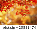 紅葉 25581474