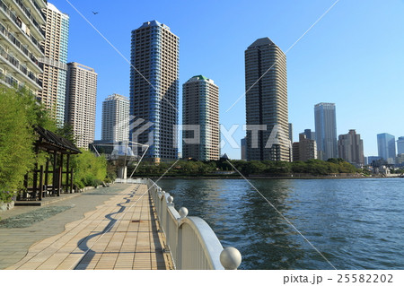 隅田川と佃島の高層マンション群 25582202