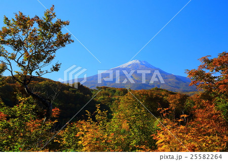 秋田県　紅葉の善神沼 25582264