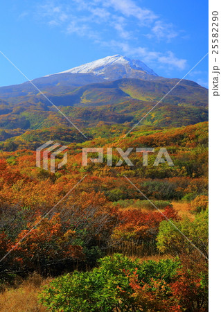 秋田県 紅葉の竜ヶ原湿原 秋田県 紅葉の竜ヶ原湿原 25582290