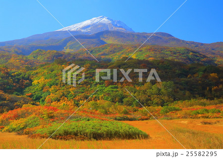 秋田県 紅葉の竜ヶ原湿原 秋田県 紅葉の竜ヶ原湿原 25582295