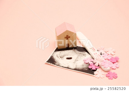 妊娠 25582520