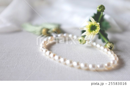 じゅずと白菊 25583016