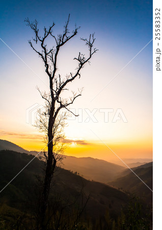 Before the end of the last light of the day 2 25583352