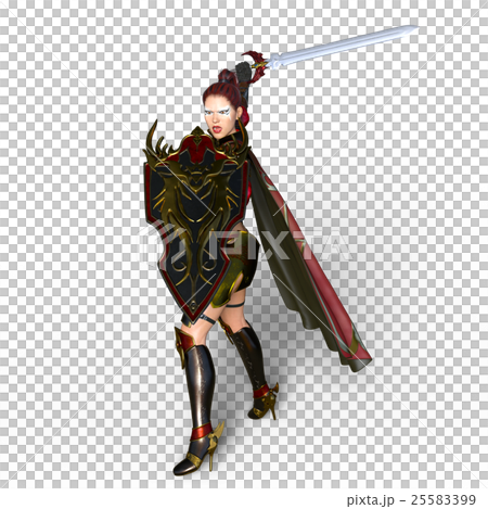 Female knight Female knight 25583399