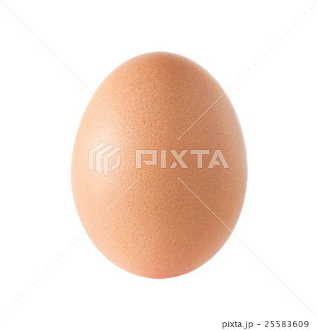 Egg on white background Egg on white background 25583609
