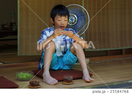 縁側の男の子 25584768